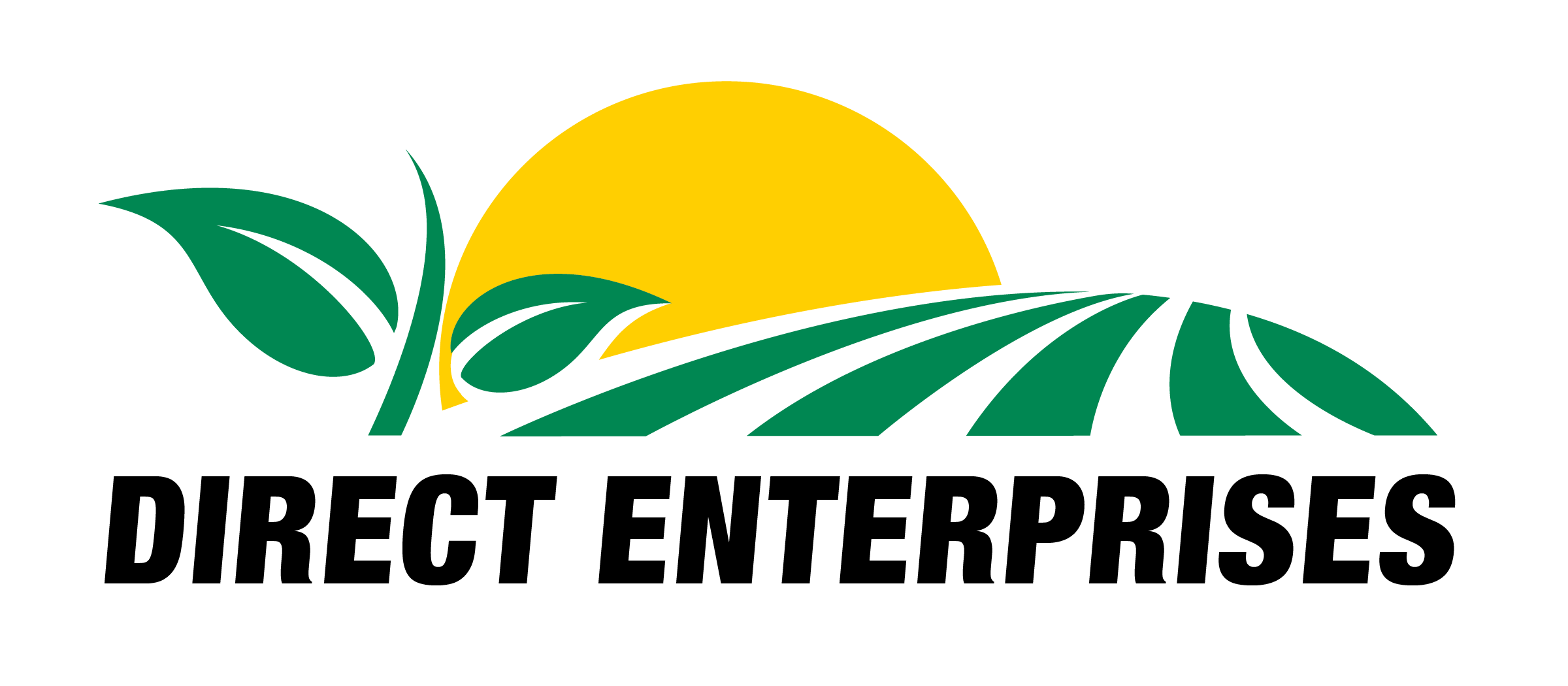 Direct Enterprises